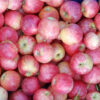 Pink Lady Apple - Image 2
